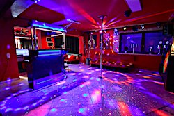 Disco